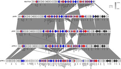 Plasmid Dynamics of mcr-1-Positive Salmonella spp. in a General Hospital in China